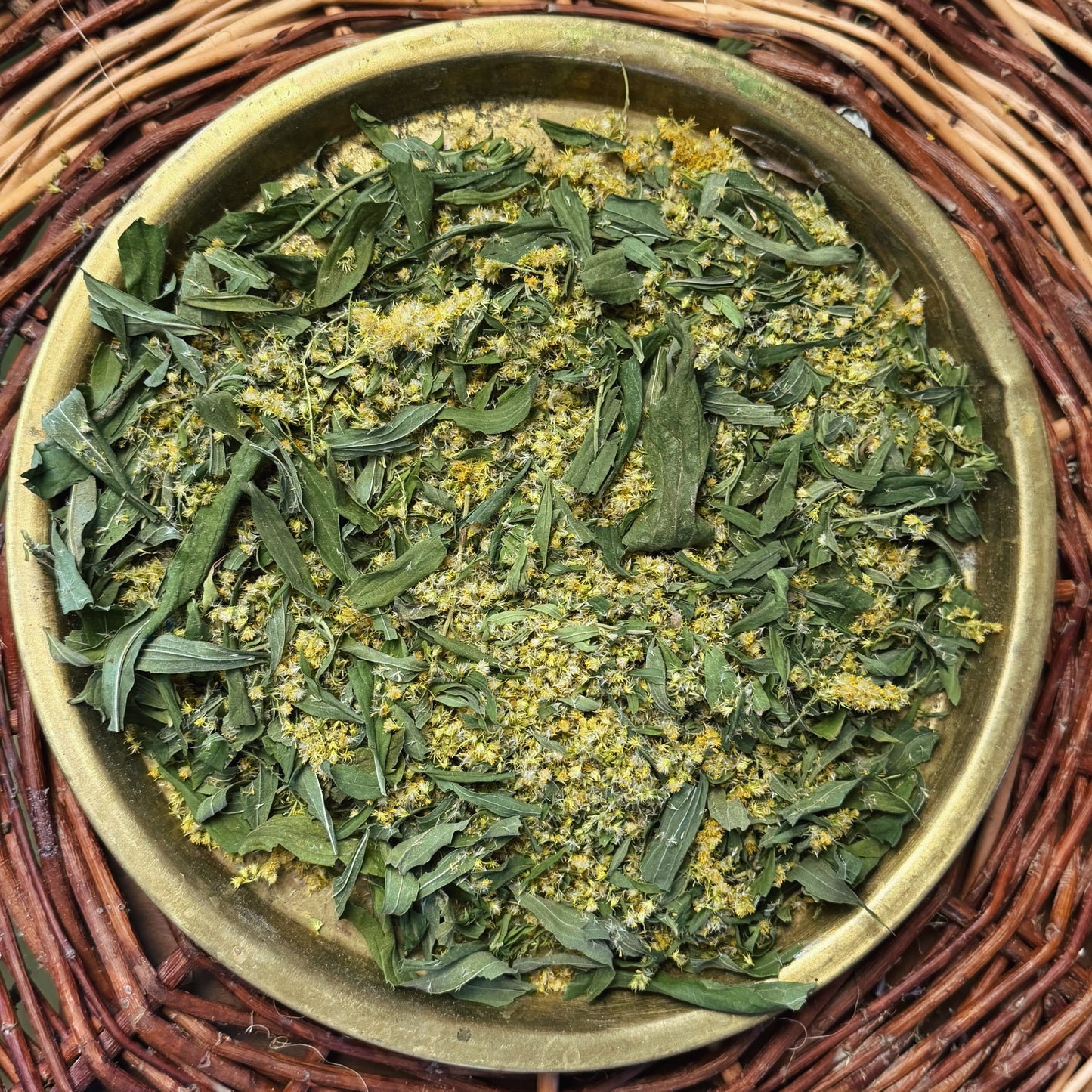 Aranyvessző