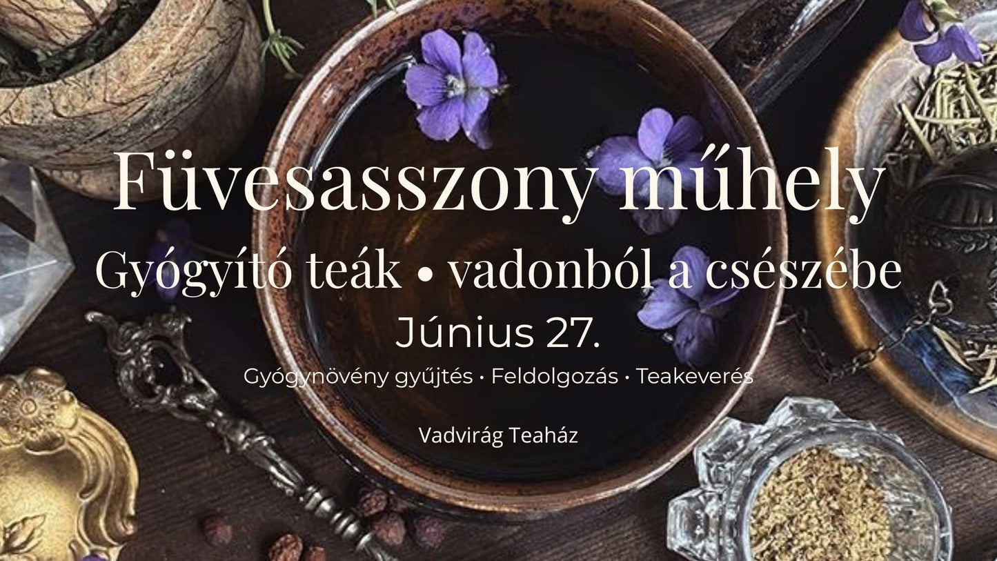 Füvesasszony műhely - gyógyító teák (vadonból a csészébe)
