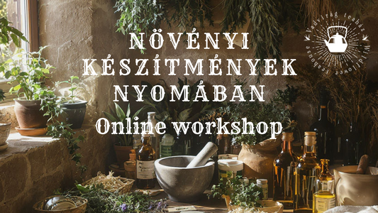 Növényi készítmények nyomában ~ online workshop