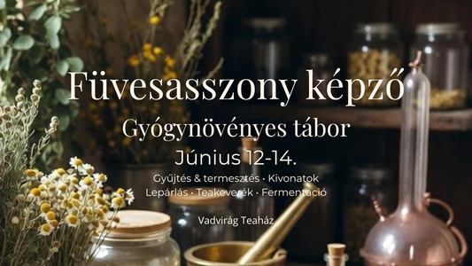 Füvesasszony képző - gyógynövényes tábor