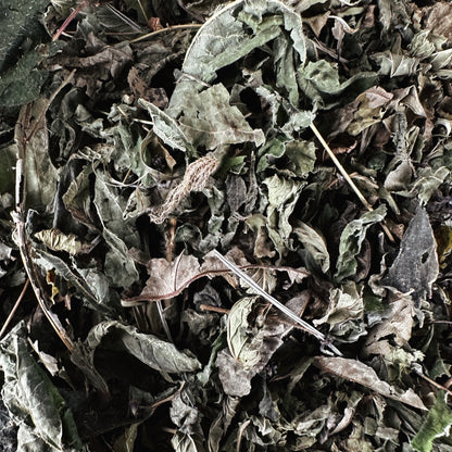 IMMORTALITY  teakeverék -  immunrendszer barátja