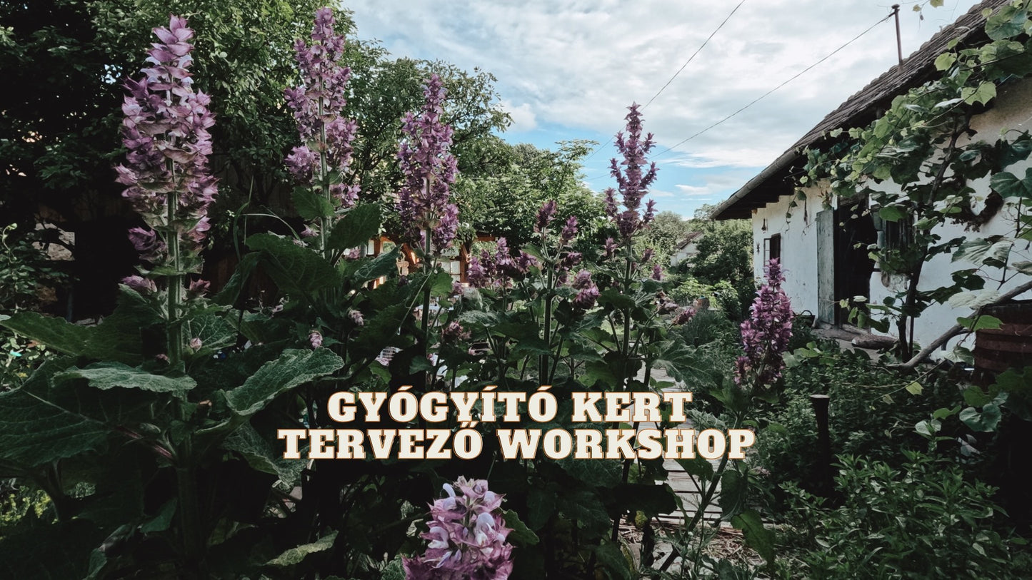 Gyógyító kert tervező workshop (03.08)